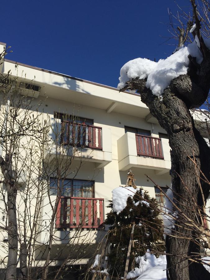Hotel Elizabeth à Nozawaonsen Extérieur photo